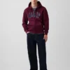 Bluza z kapturem dla dorosłych Vintagesoft Arch Logo Zip