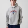 Bluza z kapturem Vintagesoft Oversized z logo Americana