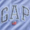Bluza z kapturem Vintagesoft Oversized z logo Americana