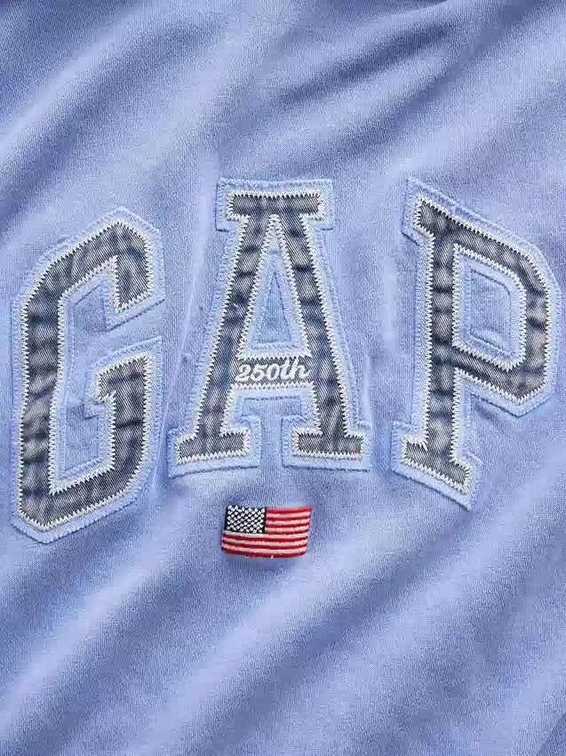 Bluza z kapturem Vintagesoft Oversized z logo Americana