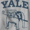 Dziecięca bluza z nadrukiem Uniwersytetu Yale