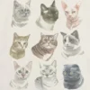Dziecięca koszulka z nadrukiem „Cat Faces”