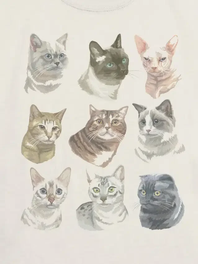 Dziecięca koszulka z nadrukiem „Cat Faces”
