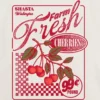 Dziecięcy T-shirt z nadrukiem „Farm Fresh Cherries”