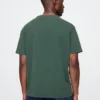 T-shirt z nadrukiem dla dorosłych z motywem drużyny NFL Green Bay Packers